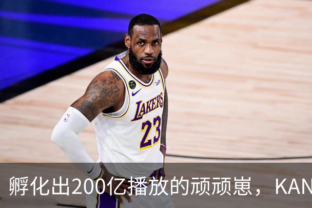 孵化出200亿播放的顽顽崽，KANOO FUN如何用东方文化重构IP生命力？｜雷报